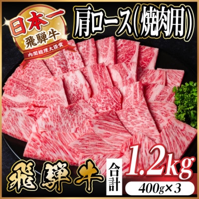 ˋ@I[X(ēEBBQp)1.2kg(400g×3)@A4`A5yⓀցz
