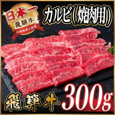 飛騨牛　厳選カルビ(焼肉・BBQ用) 300g　A4～A5等級 黒毛和牛