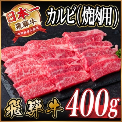 飛騨牛　厳選カルビ(焼肉・BBQ用) 400g　A4～A5等級 黒毛和牛