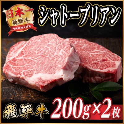 飛騨牛 シャトーブリアン 約400g(約200g×2枚)  黒毛和牛 ステーキ牛肉