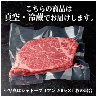 飛騨牛 シャトーブリアン 約600g(約200g×3枚)  黒毛和牛 ステーキ牛肉