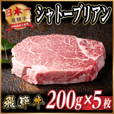 飛騨牛 シャトーブリアン 約1kg(約200g×5枚)  黒毛和牛 ステーキ牛肉