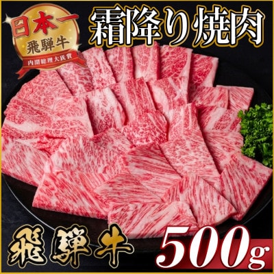 飛騨牛 霜降り焼肉 約500g BBQ用(上カルビ、肩ロース、カイノミ、ザブトン、ミスジなど)訳あり