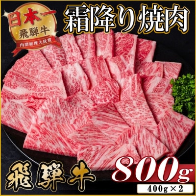 飛騨牛 霜降り焼肉 約800g(約400g×2)BBQ用(上カルビ、肩ロース、カイノミ、など)訳あり