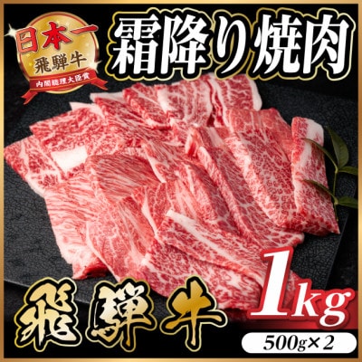 飛騨牛 霜降り焼肉 約1kg(約500g×2)BBQ用 小分け