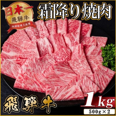 飛騨牛 霜降り焼肉 約1kg(約500g×2)BBQ用(上カルビ、肩ロース、カイノミなど)訳あり