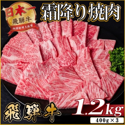 飛騨牛 霜降り焼肉 約1.2kg(約400g×3)BBQ用(上カルビ、肩ロース、カイノミなど)訳あり