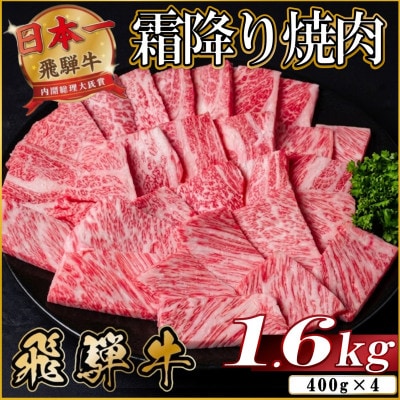 飛騨牛 霜降り焼肉 約1.6kg(約400g×4)BBQ用(上カルビ、肩ロース、カイノミなど)訳あり