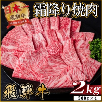 飛騨牛 霜降り焼肉 約2kg(約500g×4)BBQ用(上カルビ、肩ロース、カイノミなど)訳あり