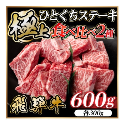 飛騨牛 ひとくちステーキ 食べ比べ 2種 約600g(各約300g) 黒毛和牛 BBQ用