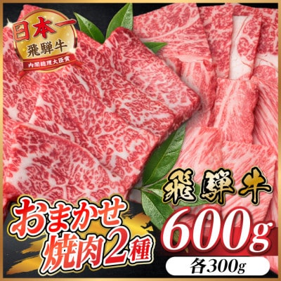 飛騨牛　おまかせ焼肉2種セット約600g(各約300g)訳あり　BBQ　上カルビ・ロースなど