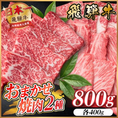 飛騨牛　おまかせ焼肉2種セット約800g(各約400g) 訳あり　BBQ　上カルビ・ロースなど
