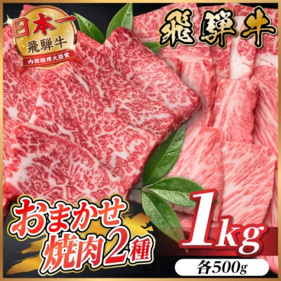 飛騨牛　おまかせ焼肉2種セット約1kg(各約500g) 訳あり　BBQ　上カルビ・ロースなど