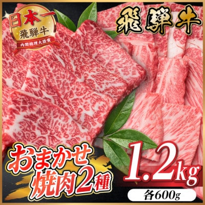 飛騨牛　おまかせ焼肉2種セット約1.2kg(各約600g) 訳あり　BBQ　上カルビ・ロースなど