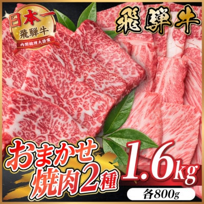 飛騨牛　おまかせ焼肉2種セット約1.6kg(各約800g) 訳あり　BBQ　上カルビ・ロースなど