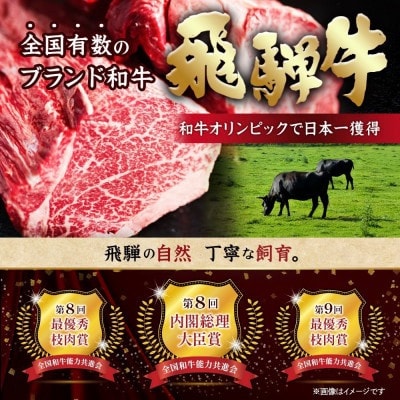 飛騨牛　おまかせ焼肉2種セット約1.6kg(各約800g) 訳あり　BBQ　上カルビ・ロースなど