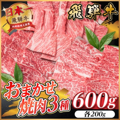 飛騨牛　おまかせ焼肉3種セット約600g(各約200g)訳あり　BBQ　上カルビ・ロースなど