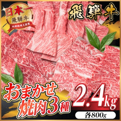 飛騨牛　おまかせ焼肉3種セット約2.4kg(各約800g)訳あり　BBQ　上カルビ・ロースなど