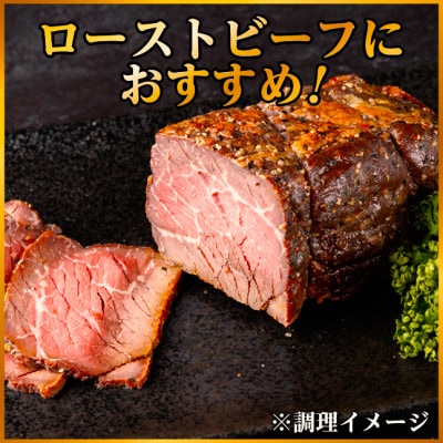 飛騨牛 トウガラシブロック 約500g ローストビーフやステーキ、焼肉、BBQにおすすめの赤身