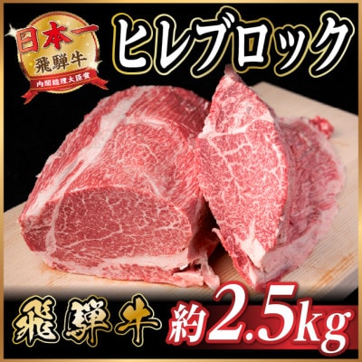 飛騨牛 ヒレブロック 約2.5kg ローストビーフやステーキ、焼肉、BBQにおすすめ