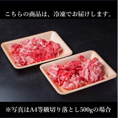 【毎月定期便】飛騨牛 厳選切り落とし 計4.8kg全6回　小分け