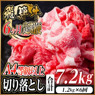 レビューキャンペーン実施中!【毎月定期便】飛騨牛 厳選切り落とし 計7.2kg全6回　小分け