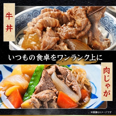 【毎月定期便】飛騨牛 厳選切り落とし 計7.2kg全6回　小分け
