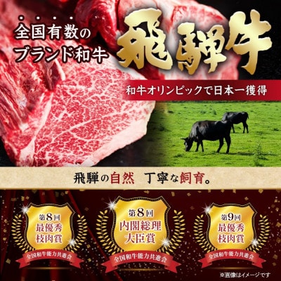 【毎月定期便】飛騨牛 厳選切り落とし 計7.2kg全6回　小分け