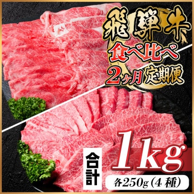 【毎月定期便】飛騨牛 2種食べ比べ定期便 計1kg全2回