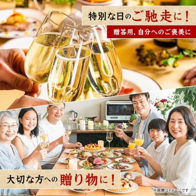 飛騨牛霜降り・赤身食べ比べセット　2ヶ月定期便　計1kg