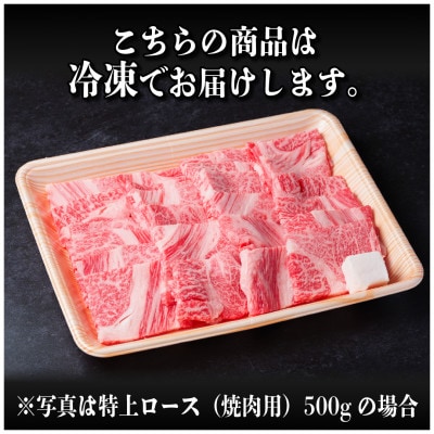 【毎月定期便】飛騨牛 特上定期便 計3kg全3回