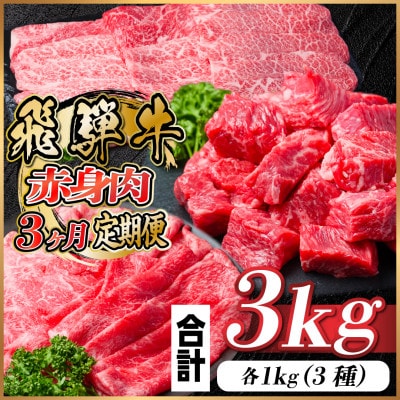 【毎月定期便】飛騨牛 赤身肉定期便 計3kg全3回