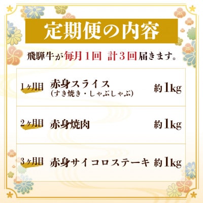 【毎月定期便】飛騨牛 赤身肉定期便 計3kg全3回