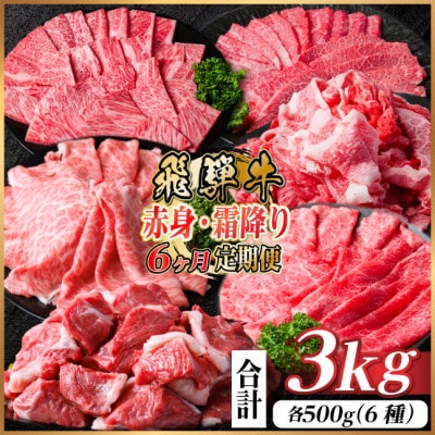 【毎月定期便】飛騨牛　赤身・霜降り定期便　計3kg カルビ・ロース(焼肉・BBQ用) すね肉全6回