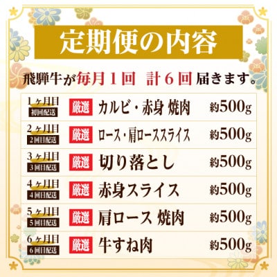 【毎月定期便】飛騨牛　赤身・霜降り定期便　計3kg カルビ・ロース(焼肉・BBQ用) すね肉全6回