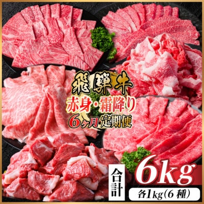 【毎月定期便】飛騨牛　赤身・霜降り定期便　計6kg カルビ・ロース(焼肉・BBQ用) すね肉全6回