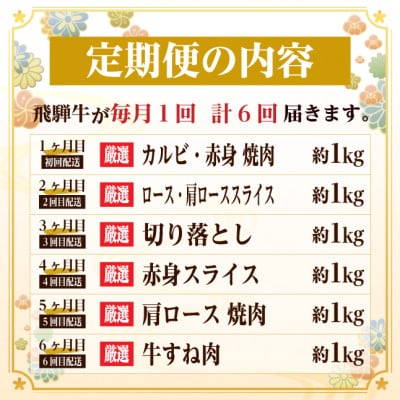 【毎月定期便】飛騨牛　赤身・霜降り定期便　計6kg カルビ・ロース(焼肉・BBQ用) すね肉全6回
