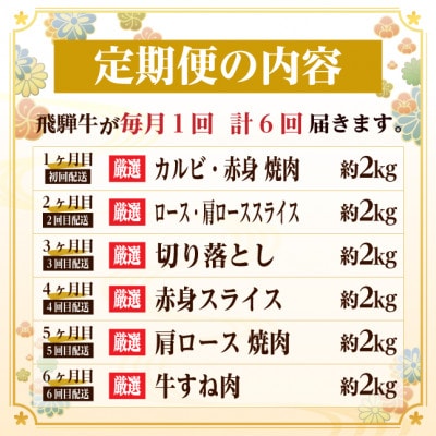 【毎月定期便】飛騨牛 赤身・霜降り定期便 計12kg カルビ・ロース(焼肉・BBQ用) すね肉全6回