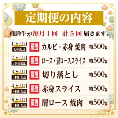 【毎月定期便】飛騨牛　赤身・霜降り定期便　計2.5kg カルビ・赤身・ロース(焼肉・BBQ用)全5回
