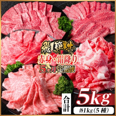 【毎月定期便】飛騨牛　赤身・霜降り定期便　計5kg カルビ・赤身・ロース(焼肉・BBQ用)全5回