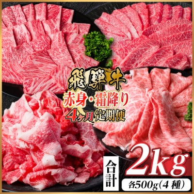 【毎月定期便】飛騨牛　赤身・霜降り定期便　計2kg カルビ・赤身・ロース(焼肉・BBQ用)全4回