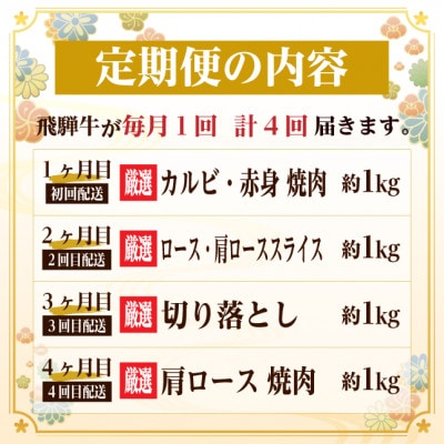 【毎月定期便】飛騨牛　赤身・霜降り定期便　計4kg カルビ・赤身・ロース(焼肉・BBQ用)全4回