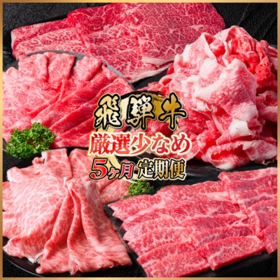 【毎月定期便】飛騨牛　厳選少なめ定期便　計1.6kg　カルビ・赤身(焼肉・BBQ用)ロース全5回
