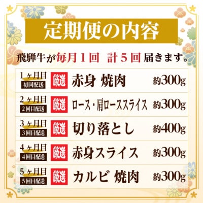 【毎月定期便】飛騨牛　厳選少なめ定期便　計1.6kg　カルビ・赤身(焼肉・BBQ用)ロース全5回