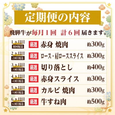 【毎月定期便】飛騨牛　厳選少なめ定期便　計2.1kg　カルビ・赤身(BBQ用)ロース すね肉全6回