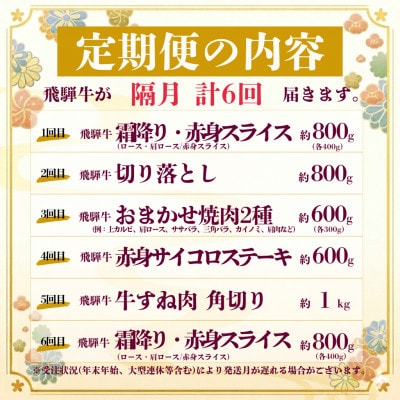 【2ヵ月毎定期便】飛騨牛 厳選 定期便 計4.6kg すき焼き・しゃぶしゃぶ・BBQ用　すね肉全6回