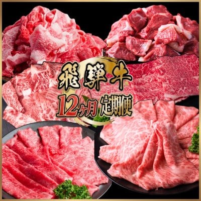 【毎月定期便】飛騨牛 少なめ定期便 計4.2kg すき焼き しゃぶしゃぶ 焼肉 ロース すね全12回