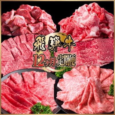 【毎月定期便】飛騨牛 少なめ定期便 計4.2kg すき焼き しゃぶしゃぶ 焼肉 ロース すね全12回