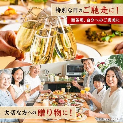 【毎月定期便】飛騨牛 少なめ定期便 計4.2kg すき焼き しゃぶしゃぶ 焼肉 ロース すね全12回