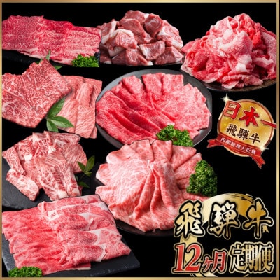 【毎月定期便】飛騨牛　厳選　定期便　計5.1kg　しゃぶしゃぶ・すき焼き・BBQ用　すね肉全12回